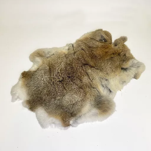 Rabbit pelt 1.jpg