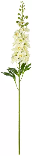IT393836.jpg