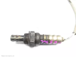 5f2ea409-d420-41f8-9a7f-8efc64dcc782.jpeg?