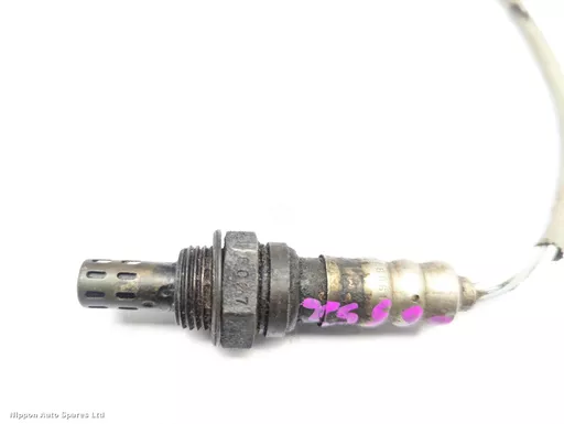 5f2ea409-d420-41f8-9a7f-8efc64dcc782.jpeg?