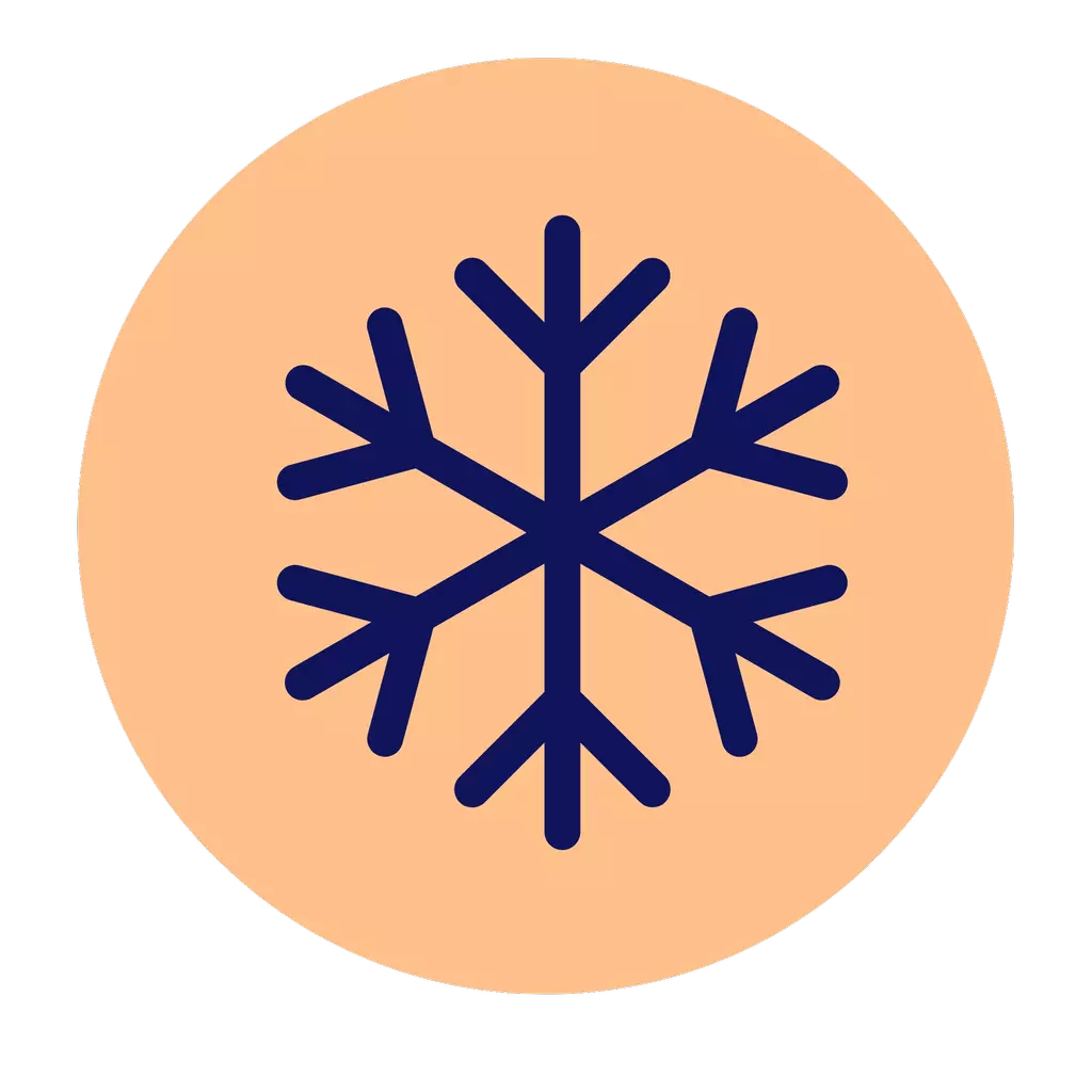 Freezer Safe Product Icon