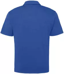 JC040%20ROY%20BACK.jpg?