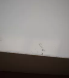 1727958462-56902700.jpg?