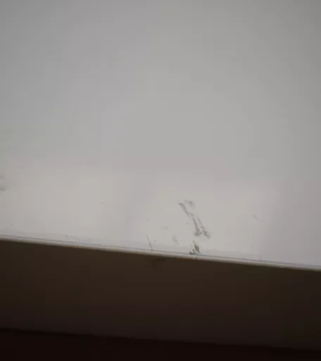 1727958462-56902700.jpg?