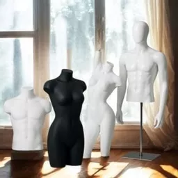 Torso & Busts