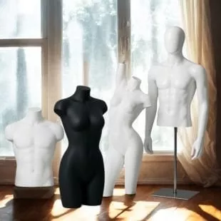 Torso & Busts