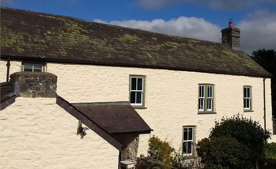 Earthborn Silicate Paint Lime Stuff