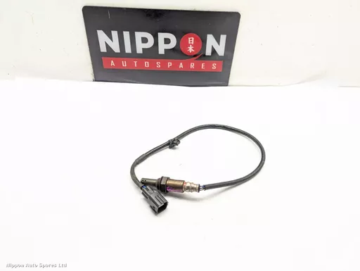 5a6d02e1-d36c-4e2f-a796-3eb0d5e8a19d.jpeg?