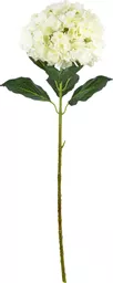 IT393816.jpg