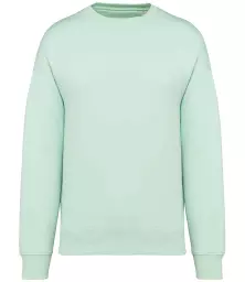 NS407%20BRG%20FRONT.jpg?