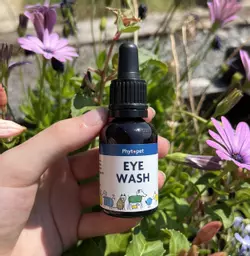 Phytopet Eye Wash Concentrate Dropper bottle held with backdrop of flowers