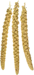 Millet.webp