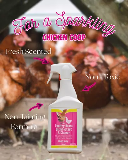 Battles Poultry - Spring Cleaning Carousel 2.jpg