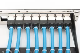 bQxnLLdXSku2wMvHT6r1Kw.c-r.jpg?