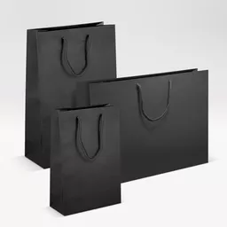 White-kraft-black-luxury-bag.jpg