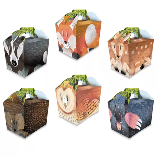 Woodland Cartoon Party Box