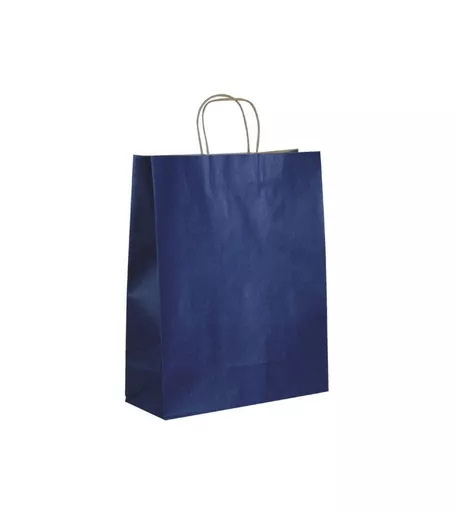 Blue Paper Bag - Pack of 50
