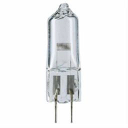 100w12v01.webp