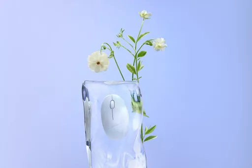 ThSyROVCNki6U4kXneOisQ.c-r.jpg?