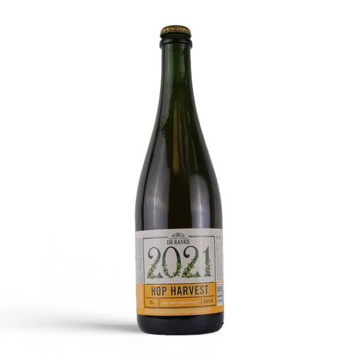De Ranke Hop Harvest 2025