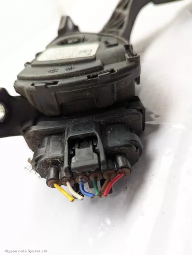 e0d5b2c6-1659-4bd6-8d97-5a5afd4346a0.jpeg?