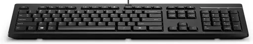 HP 125 Wired Keyboard