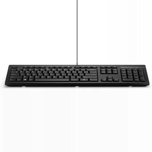 HP 125 Wired Keyboard