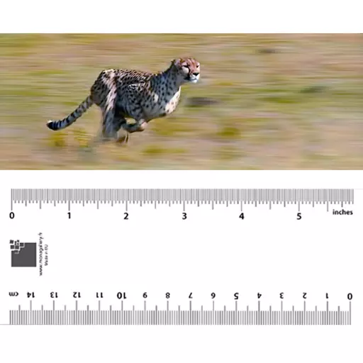 3700574900573_1.jpg