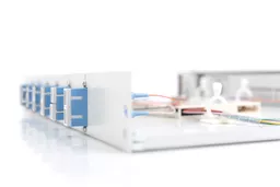 RkUbnYKcDkCjuZzXsYq7pg.c-r.jpg?