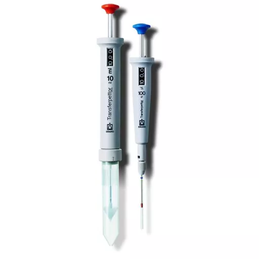 1770207380135b0c170ffb2cdb311143ff3a5f3d22.png?