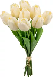 IT393848.jpg