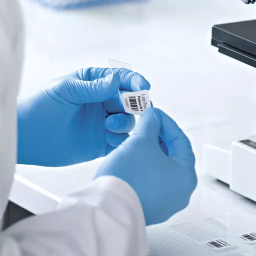 1SGK2IVczECCKzn__PA7vA.c-r.jpg?