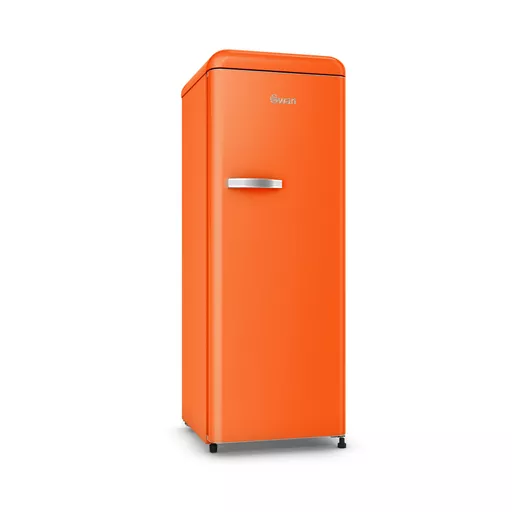 Retro Tall Fridge with Ice Box