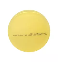 d2bc5a920adb90b7b6b8d7661b021012.jpg?