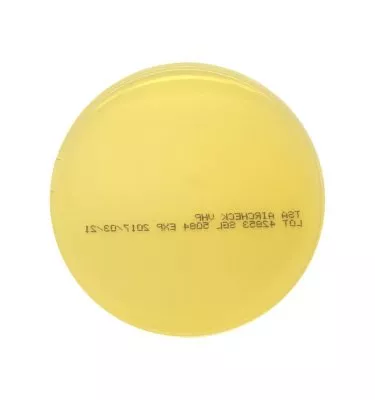 0.1% Peptone +005% Tween 600ml Fill