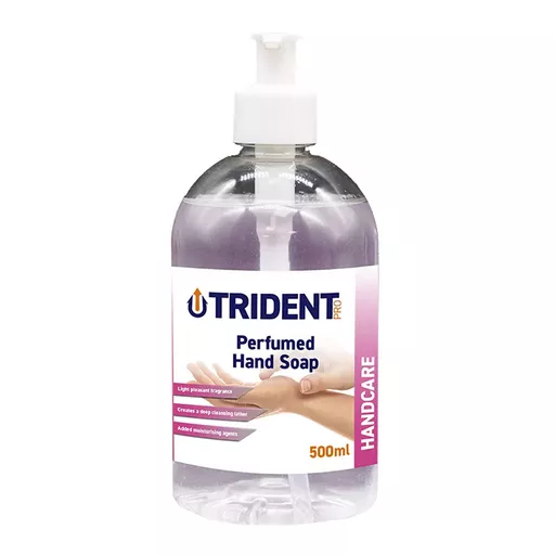 _0000s_0000_Perfumed Handsoap 500ml.jpg