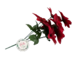 IT382198.webp