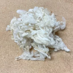 curly wool 1.jpg