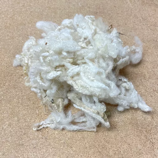 curly wool 1.jpg