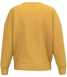 NS439%20SNY%20BACK.jpg?