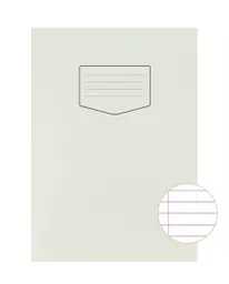 SN313_Ruling.jpg
