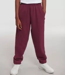 750B%20BUR%20MODEL%201.jpg?