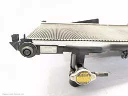 9342be81-5ecc-4038-8114-21b6ba0dbaa4.jpeg?