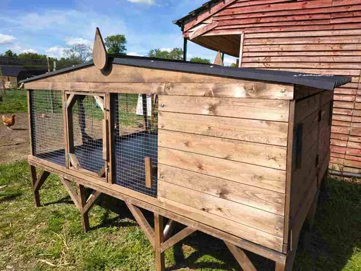 Custom Raised Qual House
