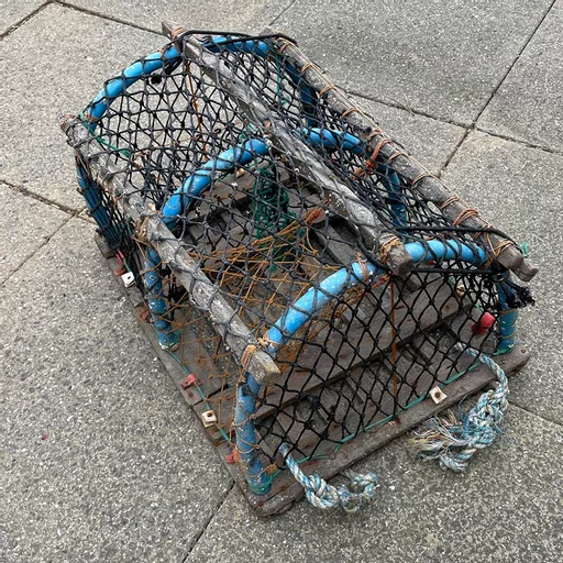 Large Lobster Pot