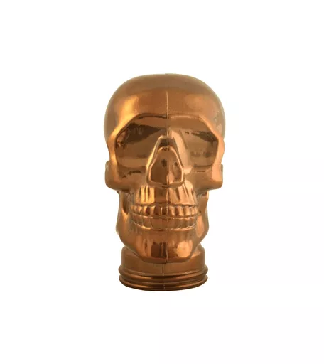 Bronze Glass Display Skull