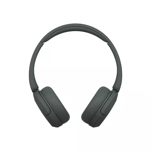 1687595 (Copy).png