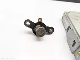 c3a331b9-eee9-47a5-a46e-8d5805ea9d3c.jpeg?