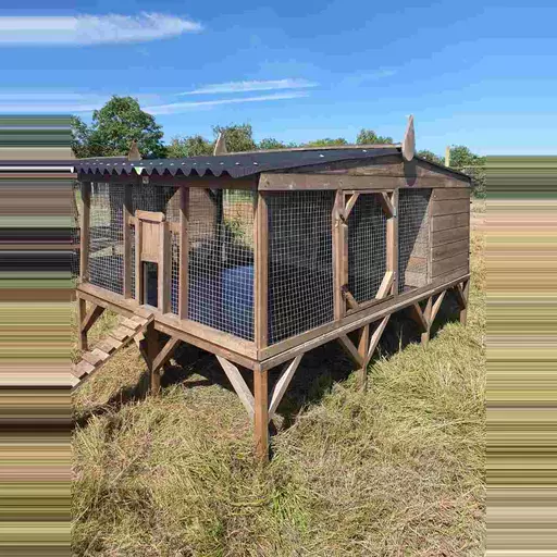 Custom Raised Chicken Coop