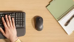 bPdh92Tlmk2j3bHOvMycKQ.c-r.jpg?